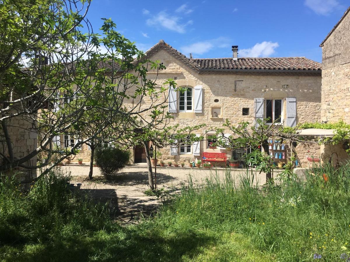 Puechblanc Gites Et Chambre D'Hote Dans Le Triangle D'Or Gaillac-Albi-Cordes Sur Ciel Fayssac Bagian luar foto