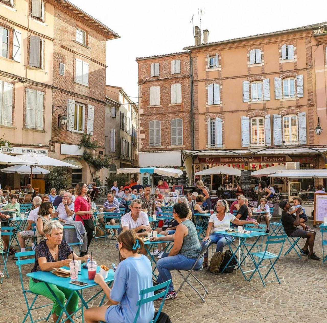 Puechblanc Gites Et Chambre D'Hote Dans Le Triangle D'Or Gaillac-Albi-Cordes Sur Ciel Fayssac Bagian luar foto
