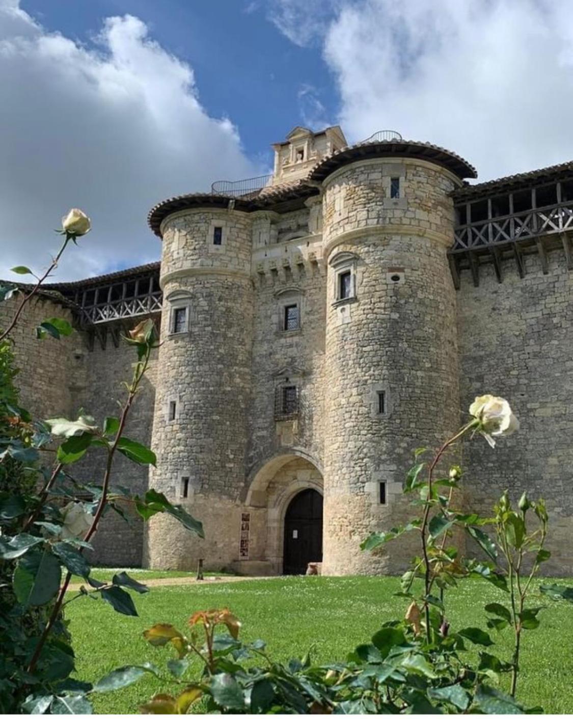 Puechblanc Gites Et Chambre D'Hote Dans Le Triangle D'Or Gaillac-Albi-Cordes Sur Ciel Fayssac Bagian luar foto