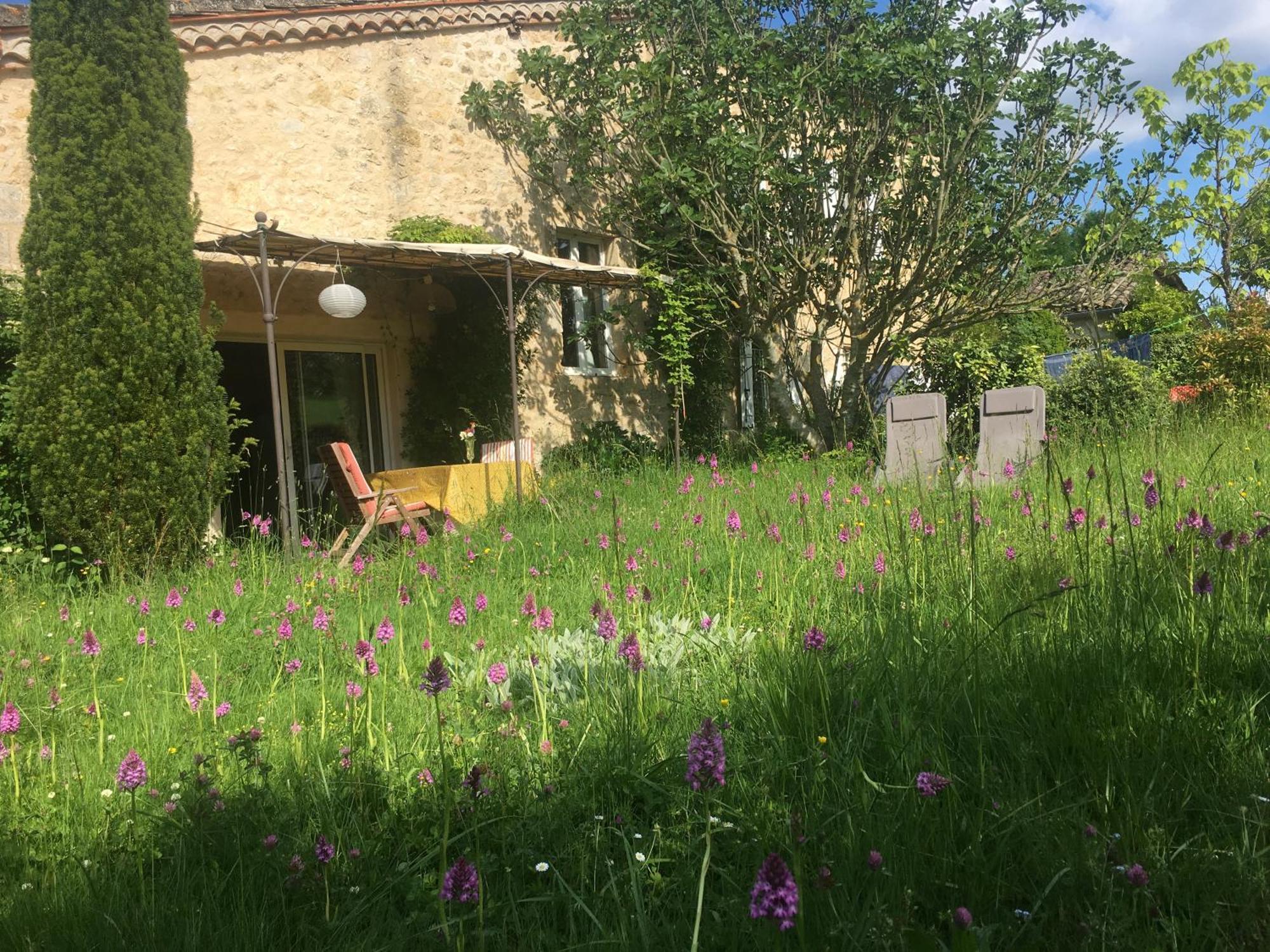 Puechblanc Gites Et Chambre D'Hote Dans Le Triangle D'Or Gaillac-Albi-Cordes Sur Ciel Fayssac Bagian luar foto