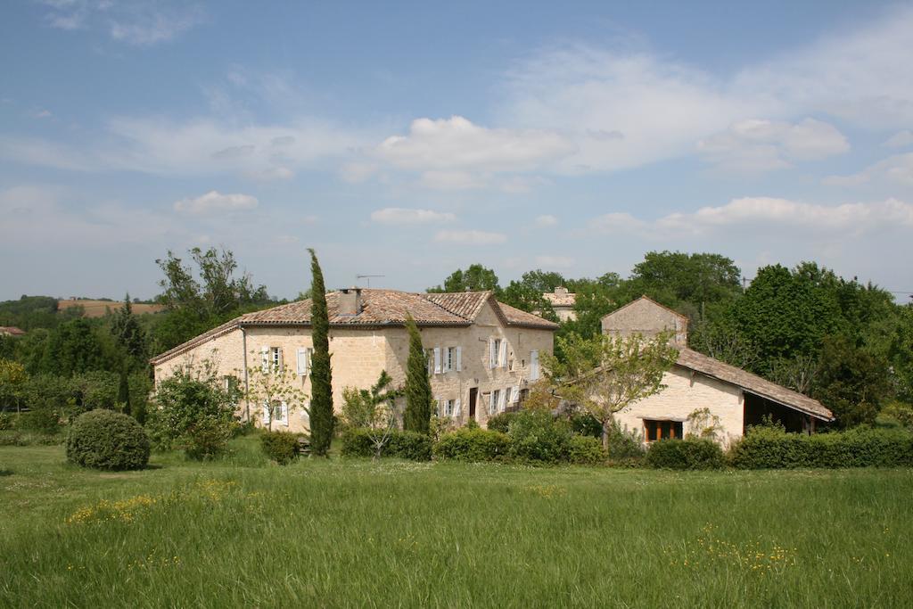 Puechblanc Gites Et Chambre D'Hote Dans Le Triangle D'Or Gaillac-Albi-Cordes Sur Ciel Fayssac Ruang foto