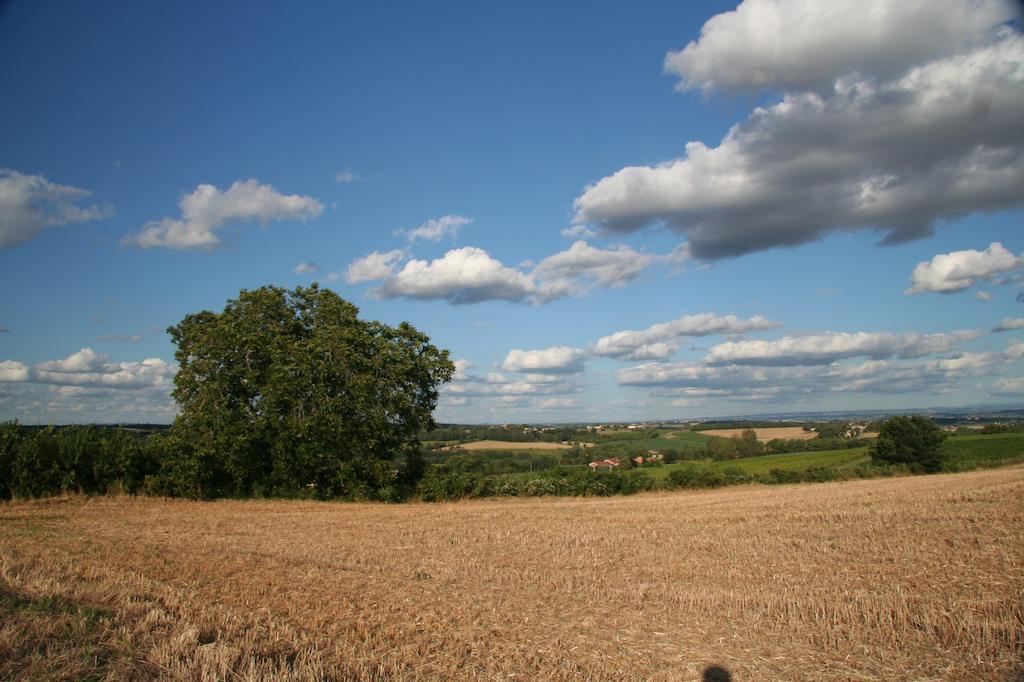 Puechblanc Gites Et Chambre D'Hote Dans Le Triangle D'Or Gaillac-Albi-Cordes Sur Ciel Fayssac Bagian luar foto